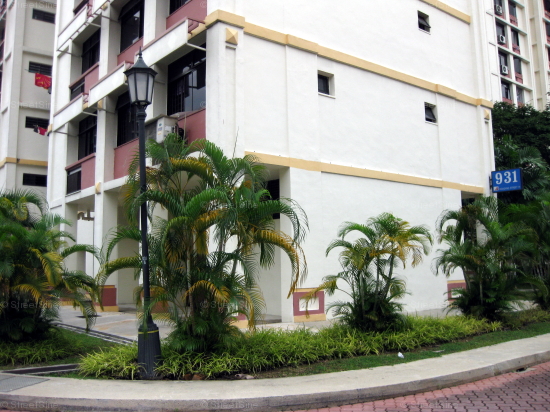 Blk 931 Hougang Street 91 (Hougang), HDB 5 Rooms #238322